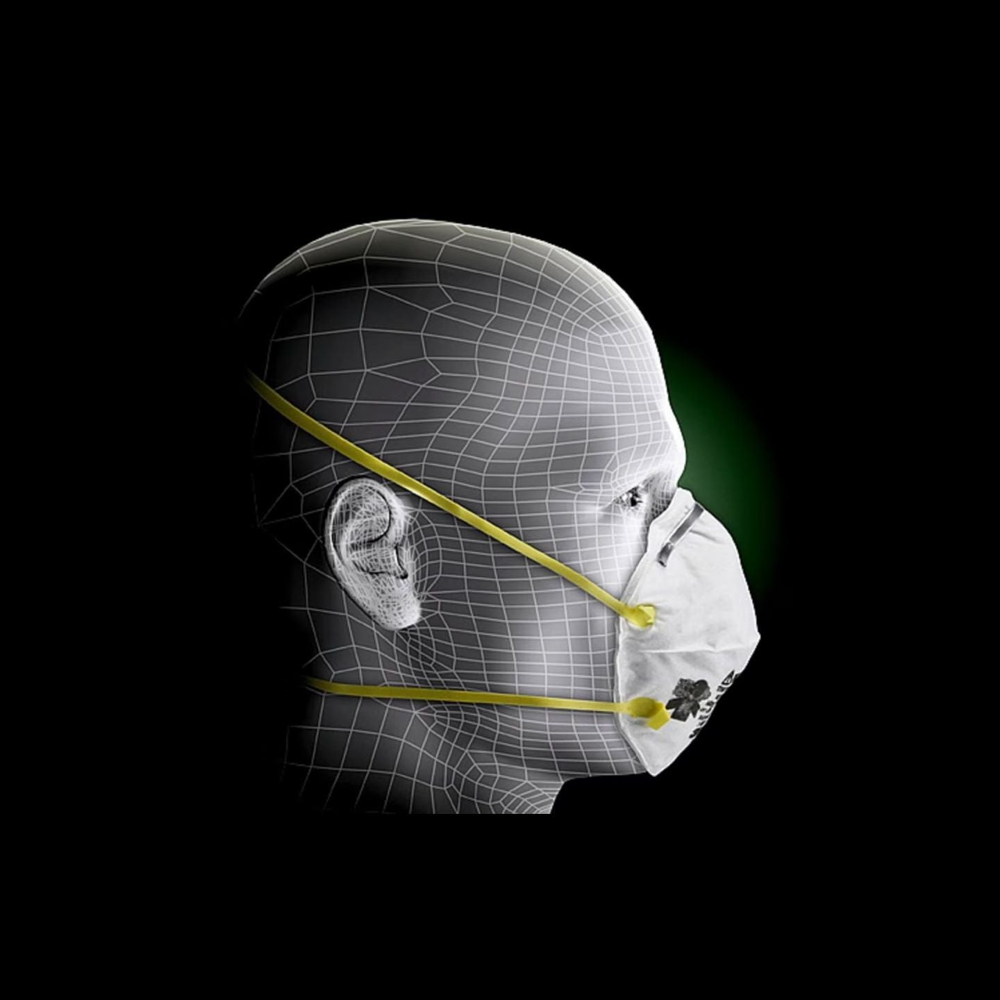 8210 - N95 Particulate Respirator - 10 Pack