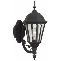 Z317-TB - Leaded Straight Glass Cast 1 Light 18" High Outdoor Wall Lantern - Textured Black