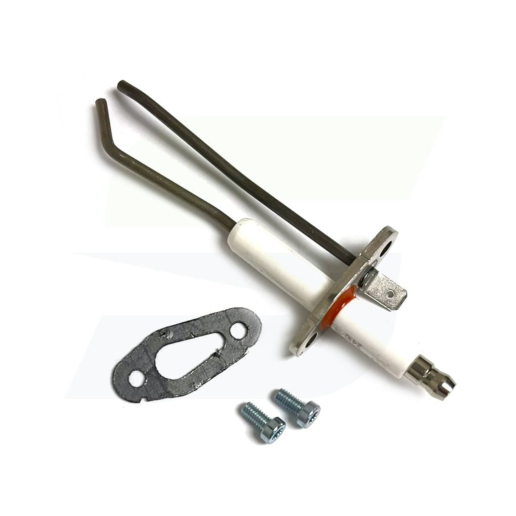 100165929 - Ignitor with Gasket - Old PLT3021