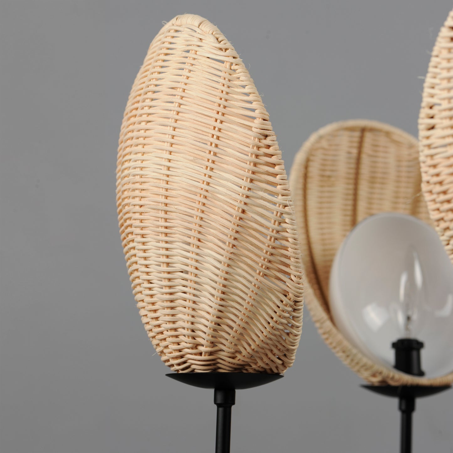 12605NABK - 5 Light Maldives 26" Chandelier - Black