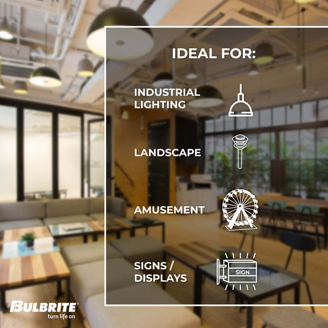 776631 - Edisont Style Filaments Dimmable ST18 LED Light Bulb - 7 Watt - 4000K - 8 Pack