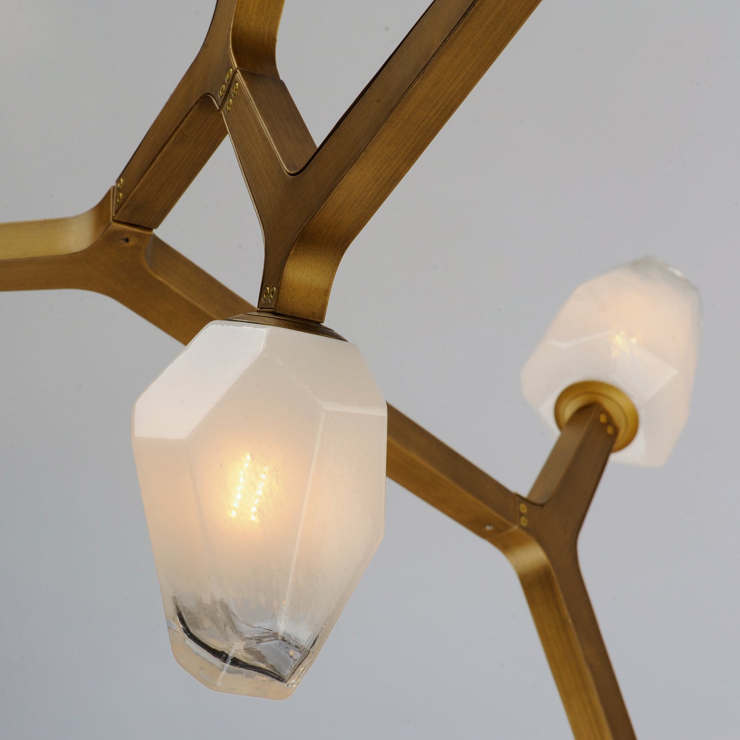 E32795-93NAB - 5 Light Blossom 36" Chandelier - Natural Aged Brass
