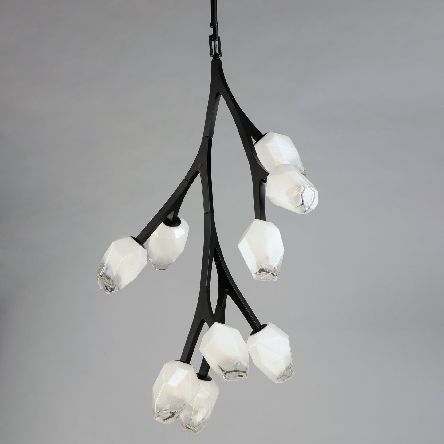 E32798-93BK - 10 Light Blossom 19" Chandelier - Black