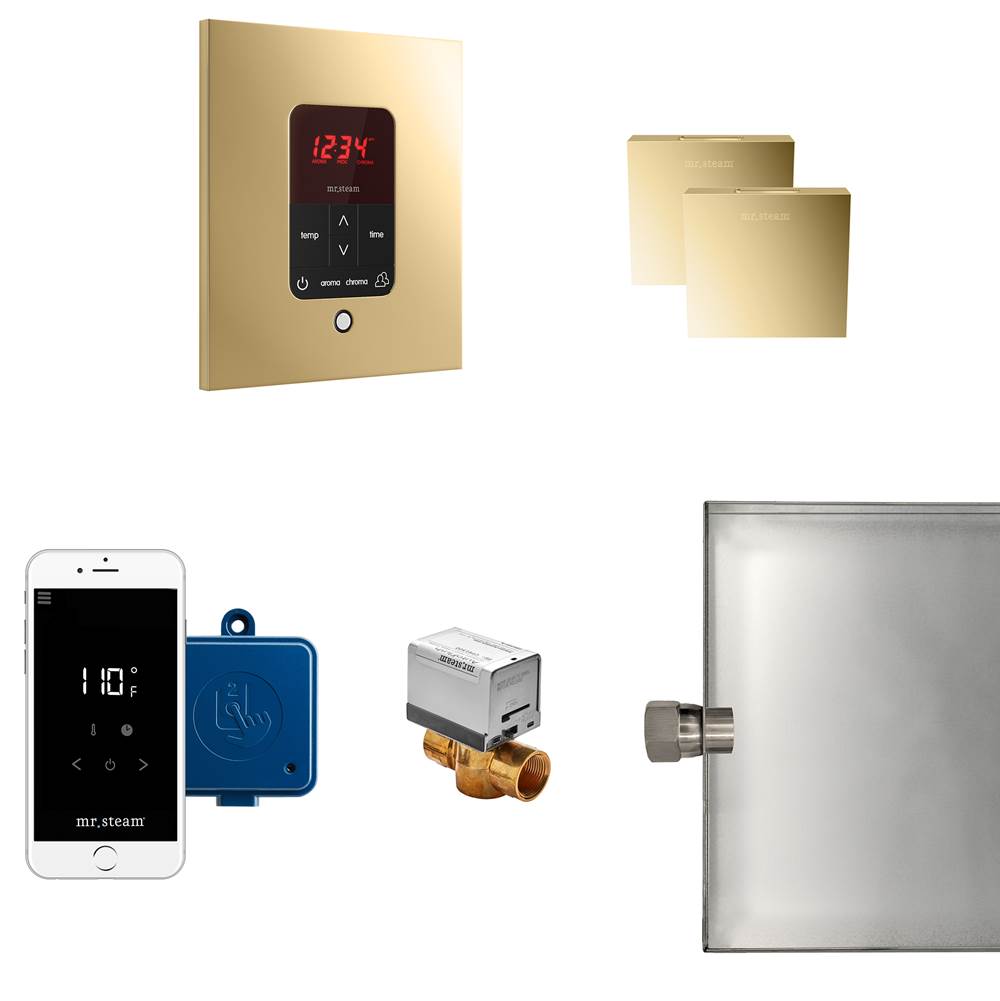 Butler Max Package Square Polished Brass