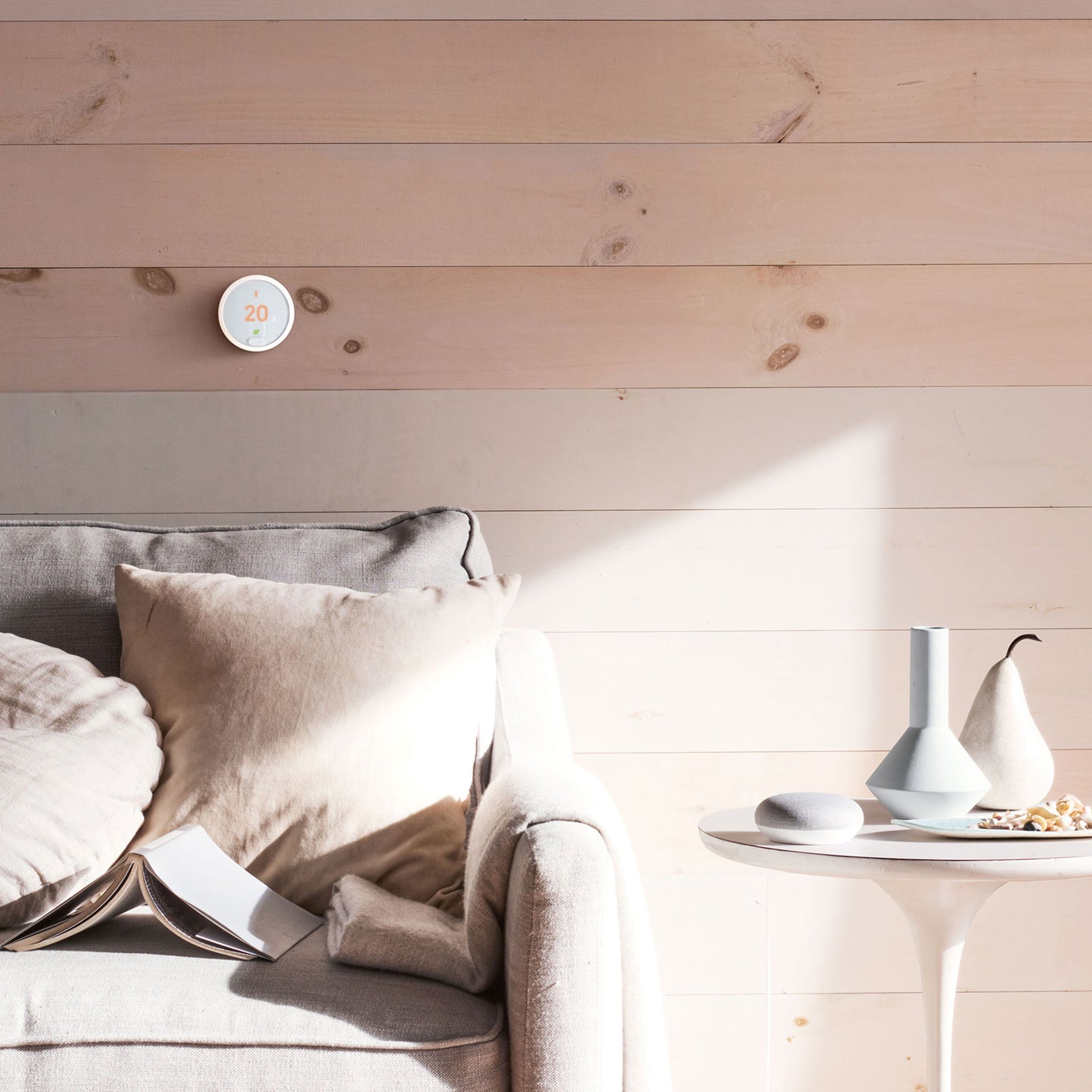 Nest E Thermostat, Professional