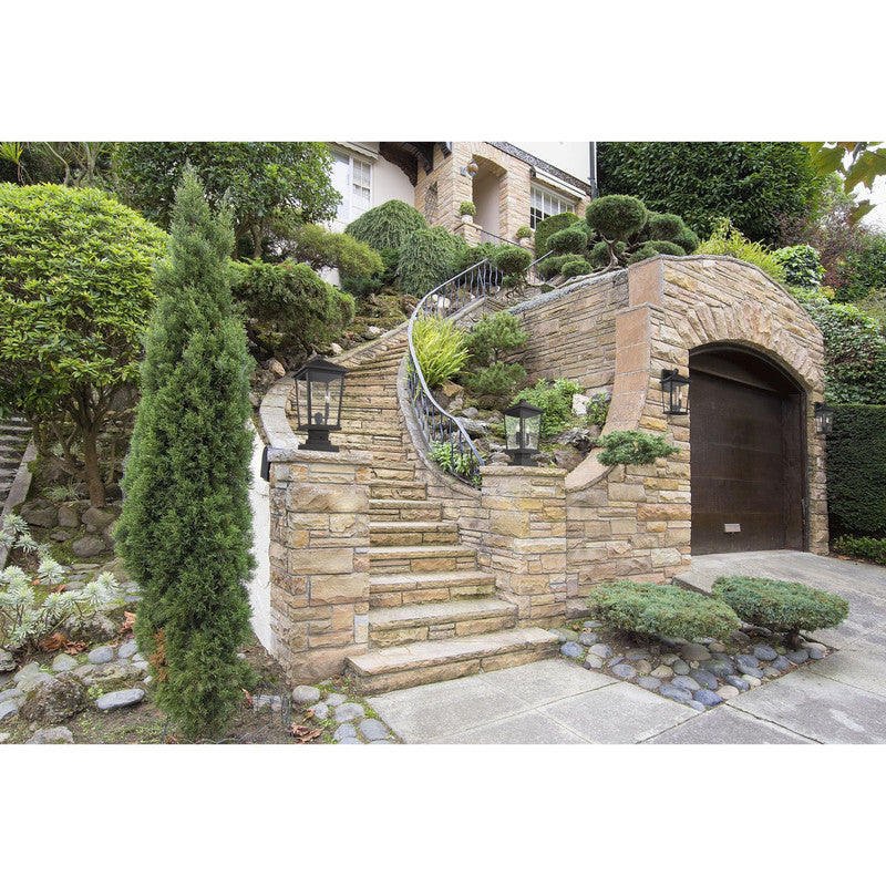 Z-Lite 568B - Beacon 2 Light 11" Sconce