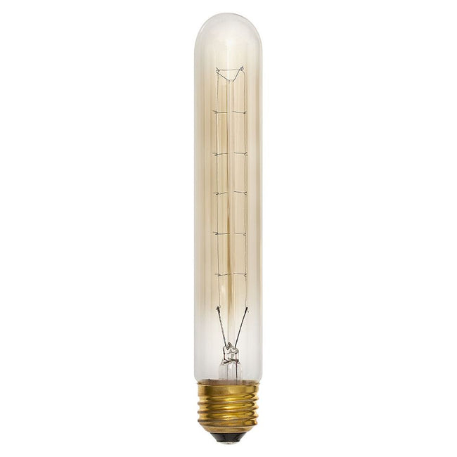 Hinkley 00T10CL - 60 Watt Vintage T-Style Light Bulb