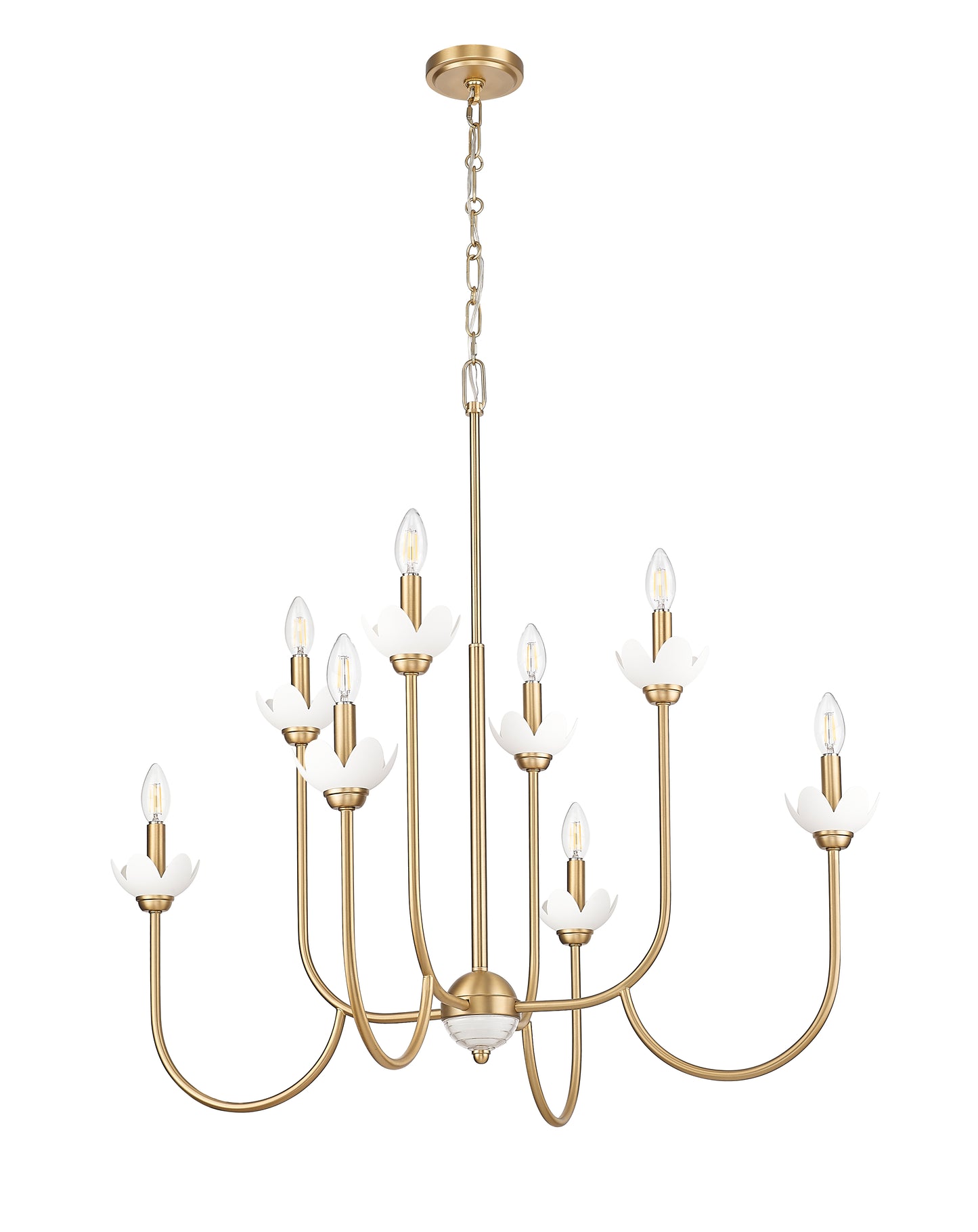 352-8MGLD - Allistair 8 Light 36" Chandelier - Modern Gold
