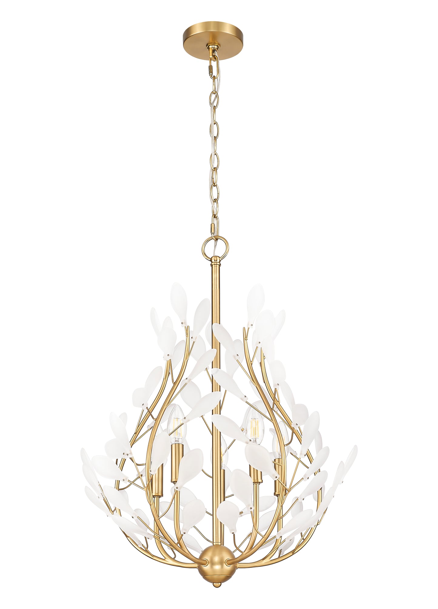 353-24MGLD - Claudine 5 Light 24" Chandelier - Modern Gold