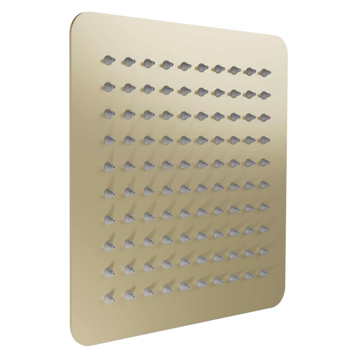 BLS-H8-CB - Bliss 8" Shower Head in Champagne Bronze
