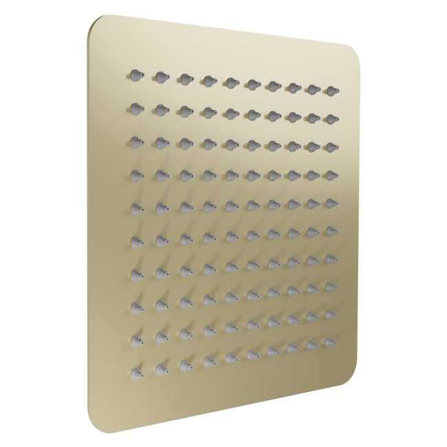 BLS-H8-CB - Bliss 8" Shower Head in Champagne Bronze