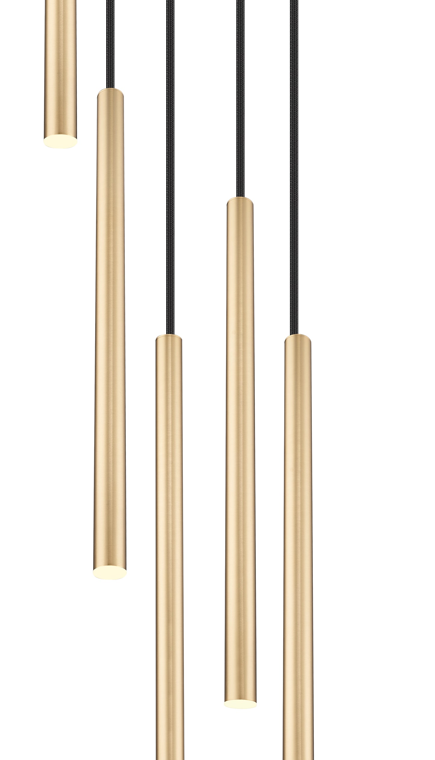919MP24-5R-MGLD-LED - Forest 5 Light 12" Chandelier - Modern Gold