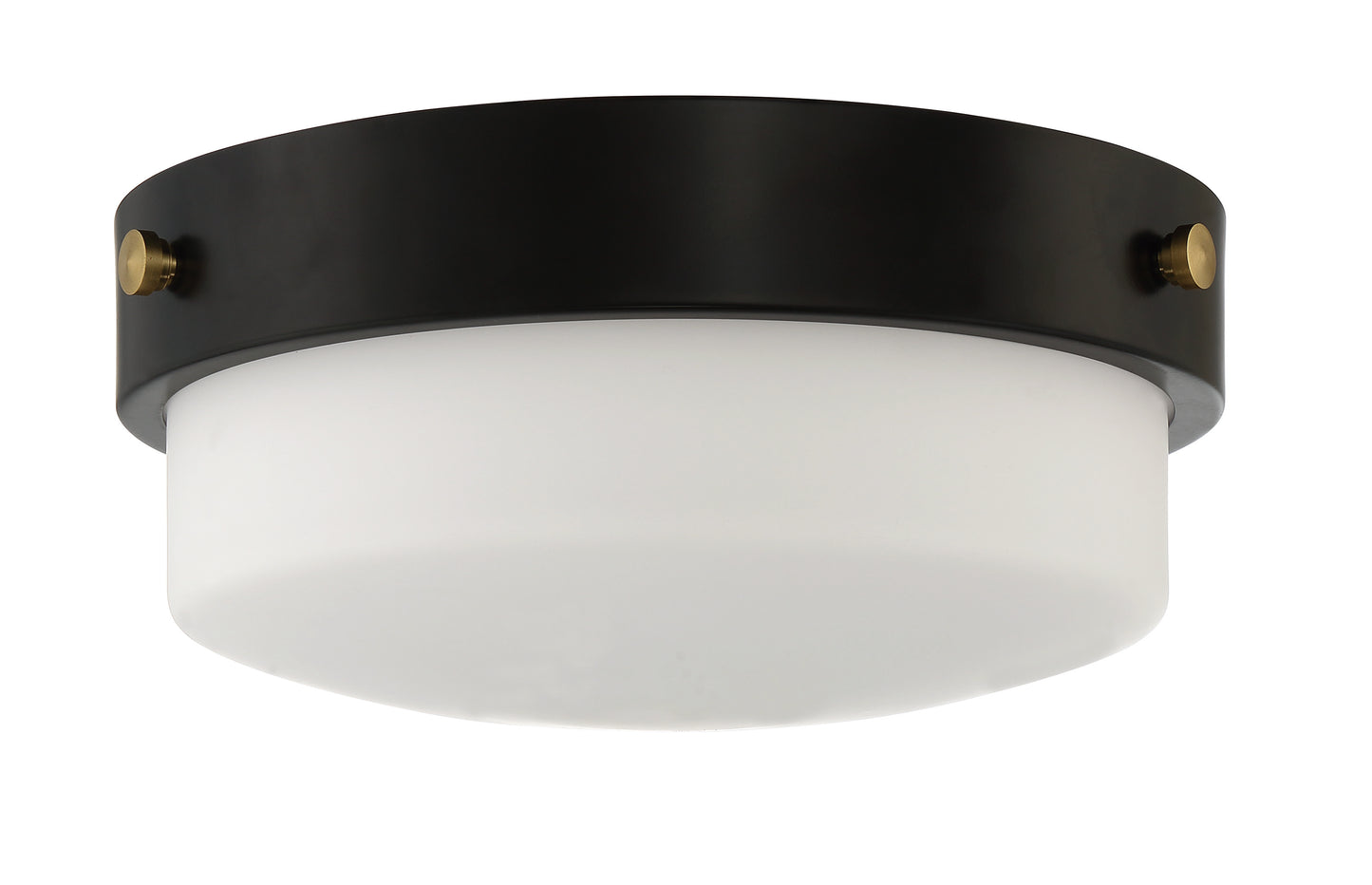 X3212-FB - Oak Street 2 Light 11" Wide Flush Mount - Flat Black