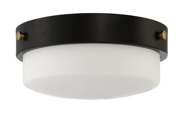 X3212-FB - Oak Street 2 Light 11" Wide Flush Mount - Flat Black