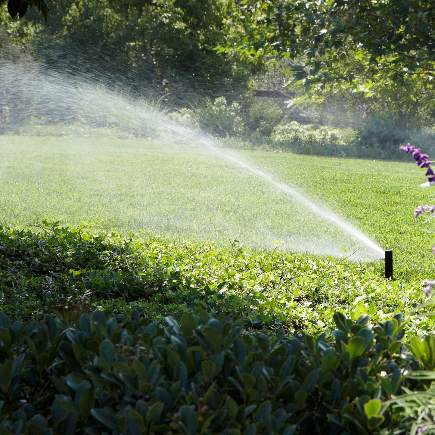 PGJ-04-R - PGJ 4" Pop-up Rotor Sprinkler with 8 Nozzles - Reclaimed ID