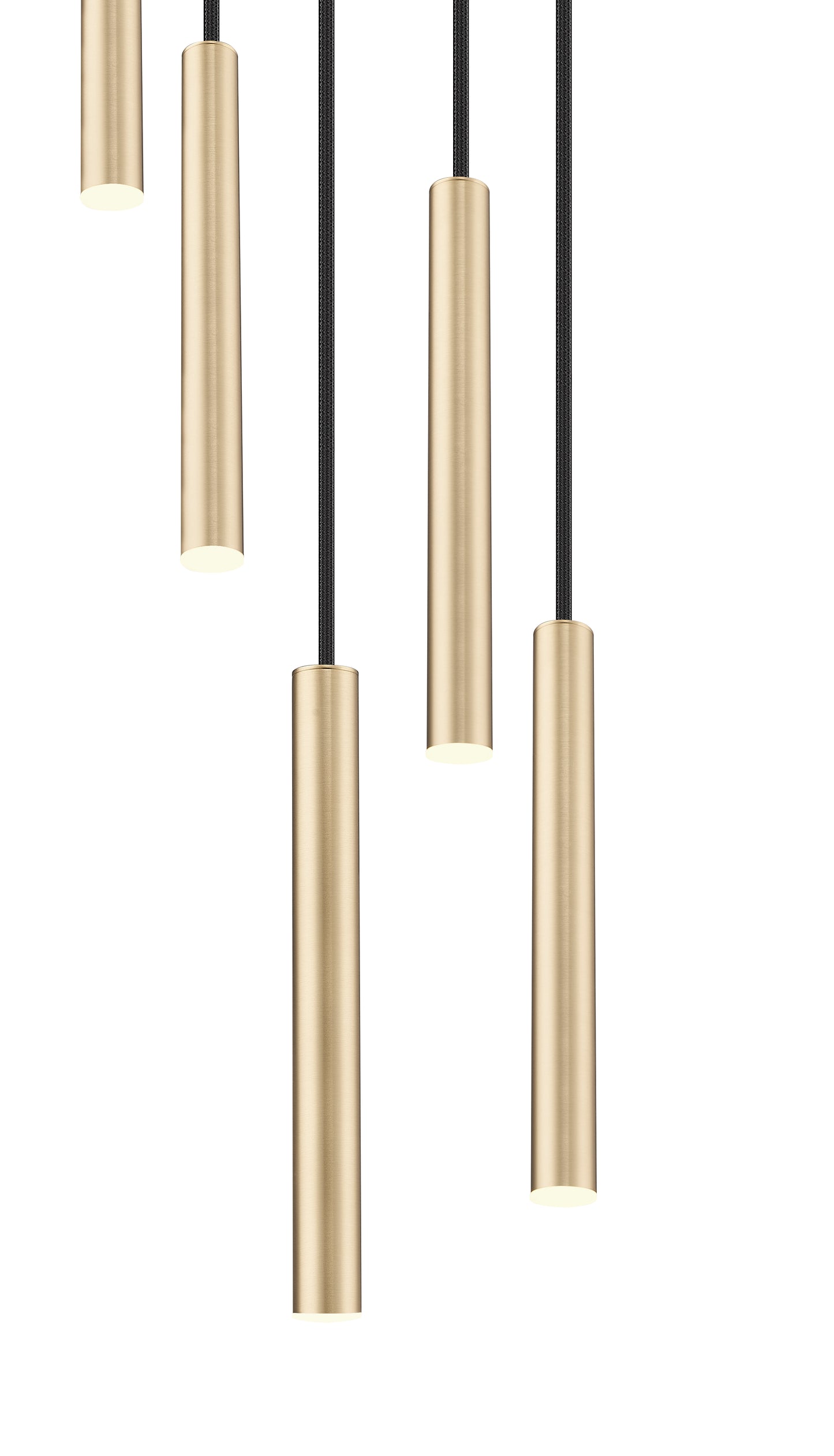 919MP12-5R-MGLD-LED - Forest 5 Light 12" Chandelier - Modern Gold