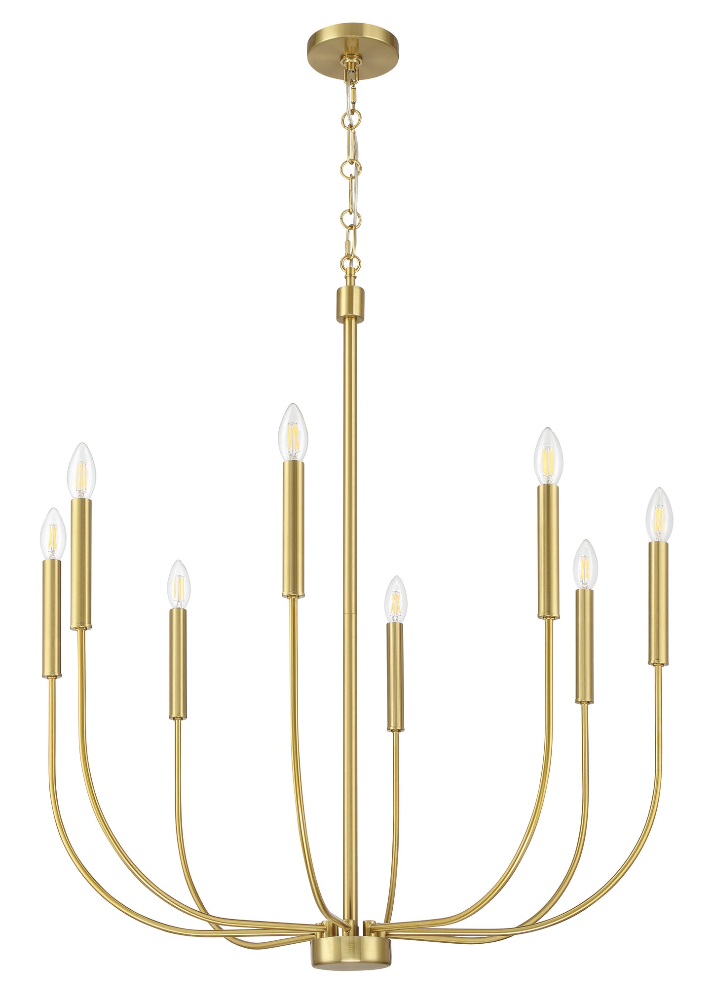 59828-SB - Traci 8 Light 31" Wide Chandelier - Satin Brass