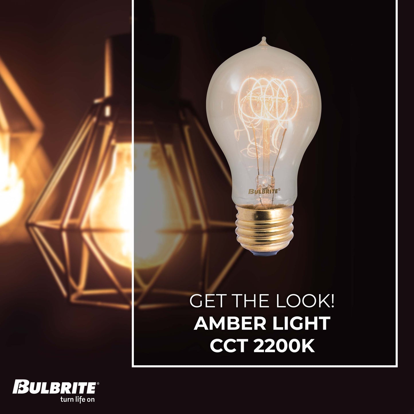 134020 - Dimmable Antique A19 Incandescent Light Bulb - 40 Watt - 2200K - 6 Pack