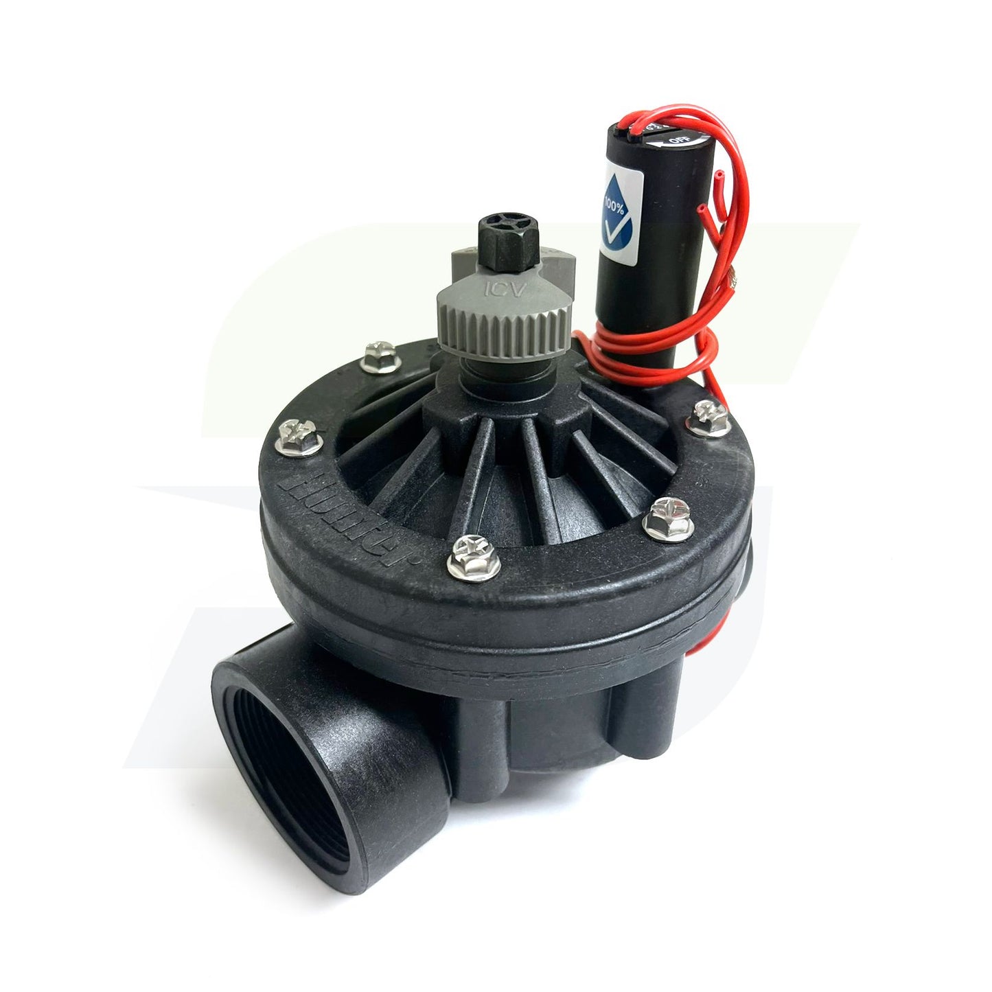 ICV-201G-FS - 2" Globe Valve with Flow Control, Filter Sentry