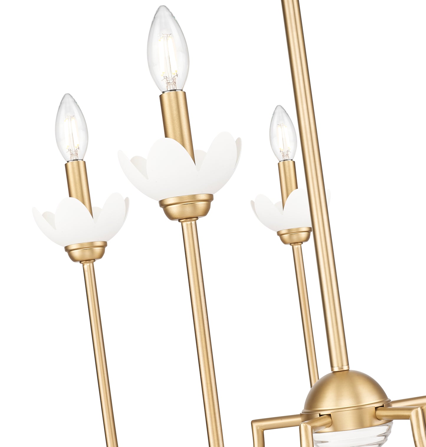 352-5MGLD - Allistair 5 Light 24" Chandelier - Modern Gold