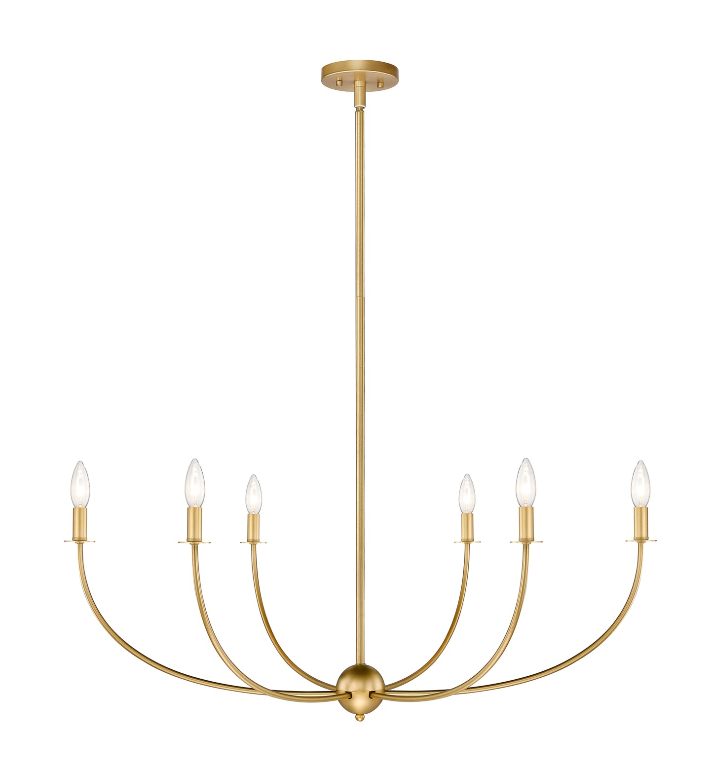 3040-42RB - Shannon 6 Light 42" Chandelier - Rubbed Brass