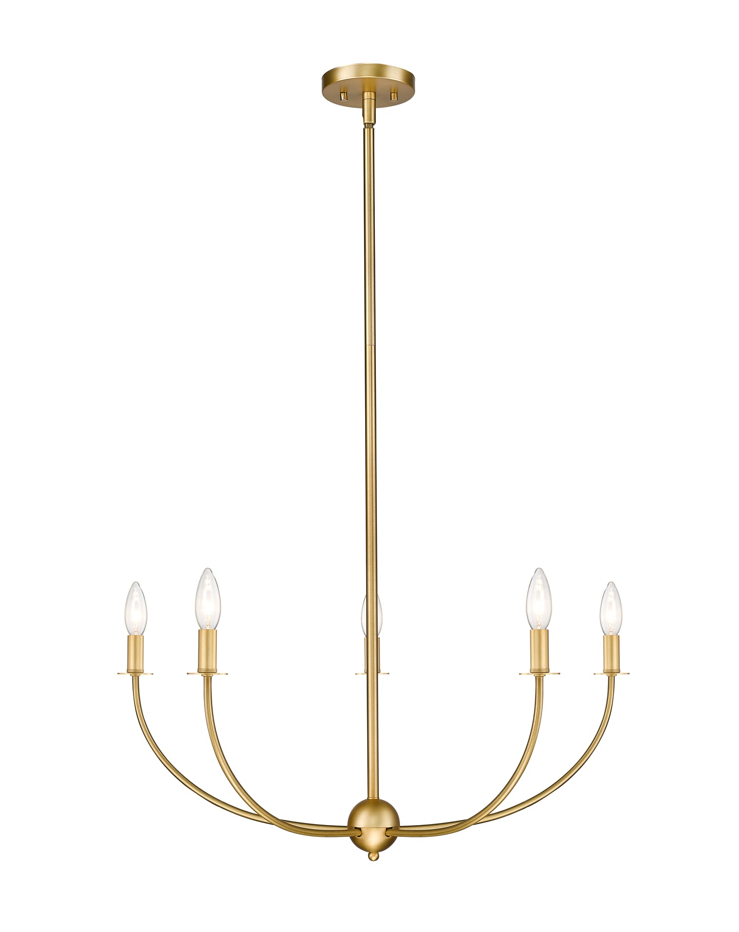 3040-32RB - Shannon 5 Light 32" Chandelier - Rubbed Brass
