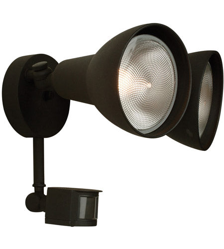 Z402PM-TB - Flood 2 Light 11" Outdoor Flood - Textured Black