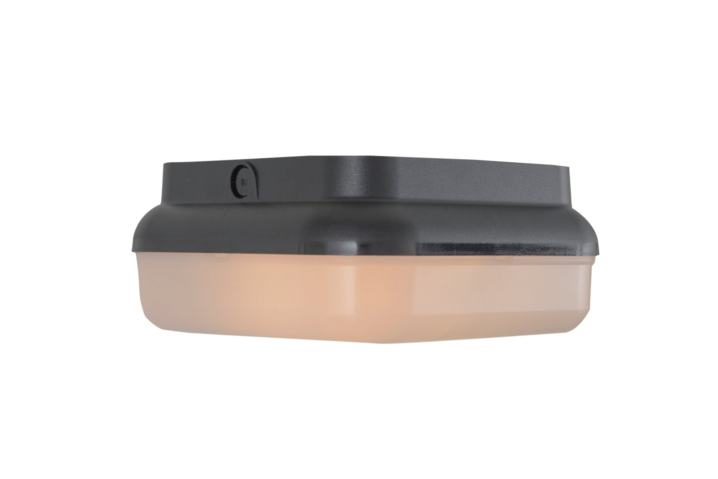 ZA6407-TB - Resilience Lanterns 2 Light 10" Wide Flush Mount - Textured Black