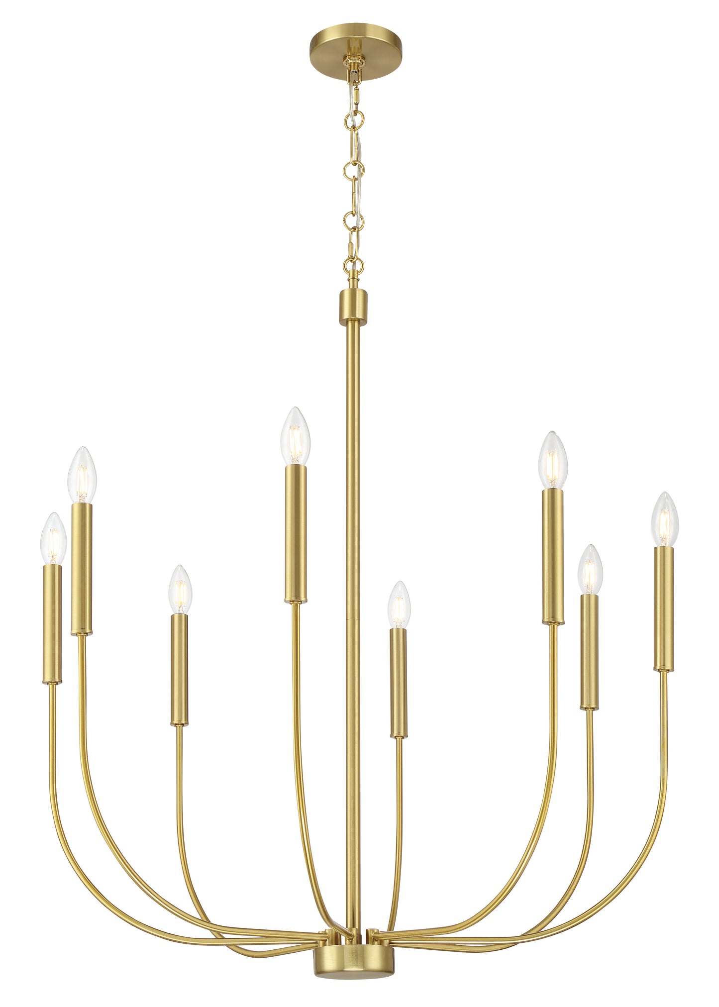 59828-SB - Traci 8 Light 31" Wide Chandelier - Satin Brass