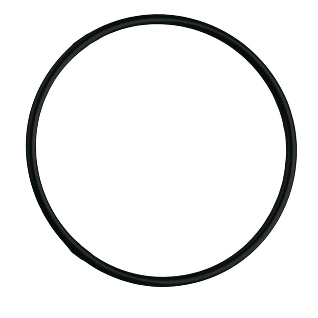 7300876 - Black O-Ring - PWORVIHHSG