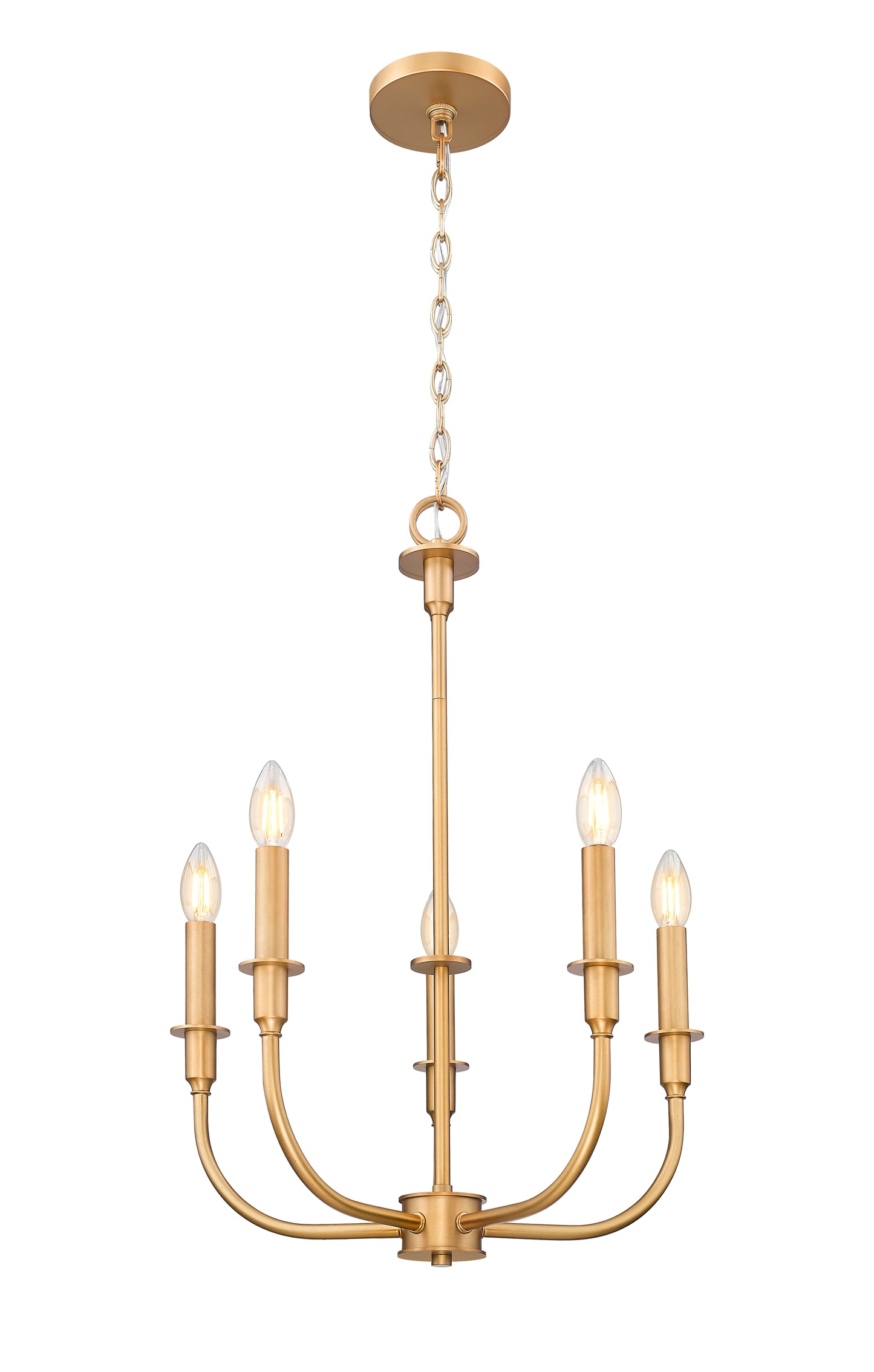 3049-18C-RB - Tova 5 Light 22" Chandelier - Rubbed Brass