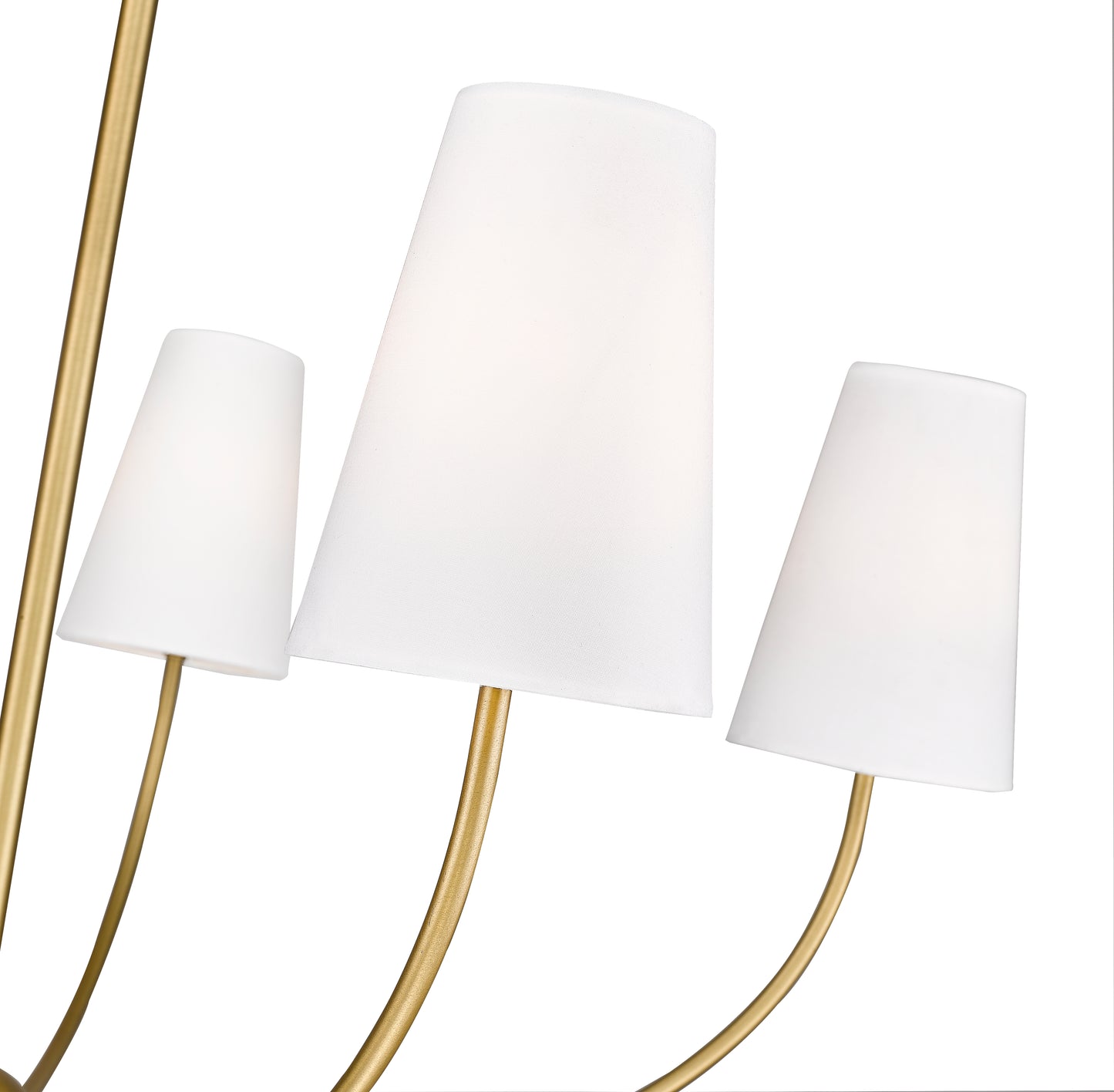 3040-32RB - Shannon 5 Light 32" Chandelier - Rubbed Brass