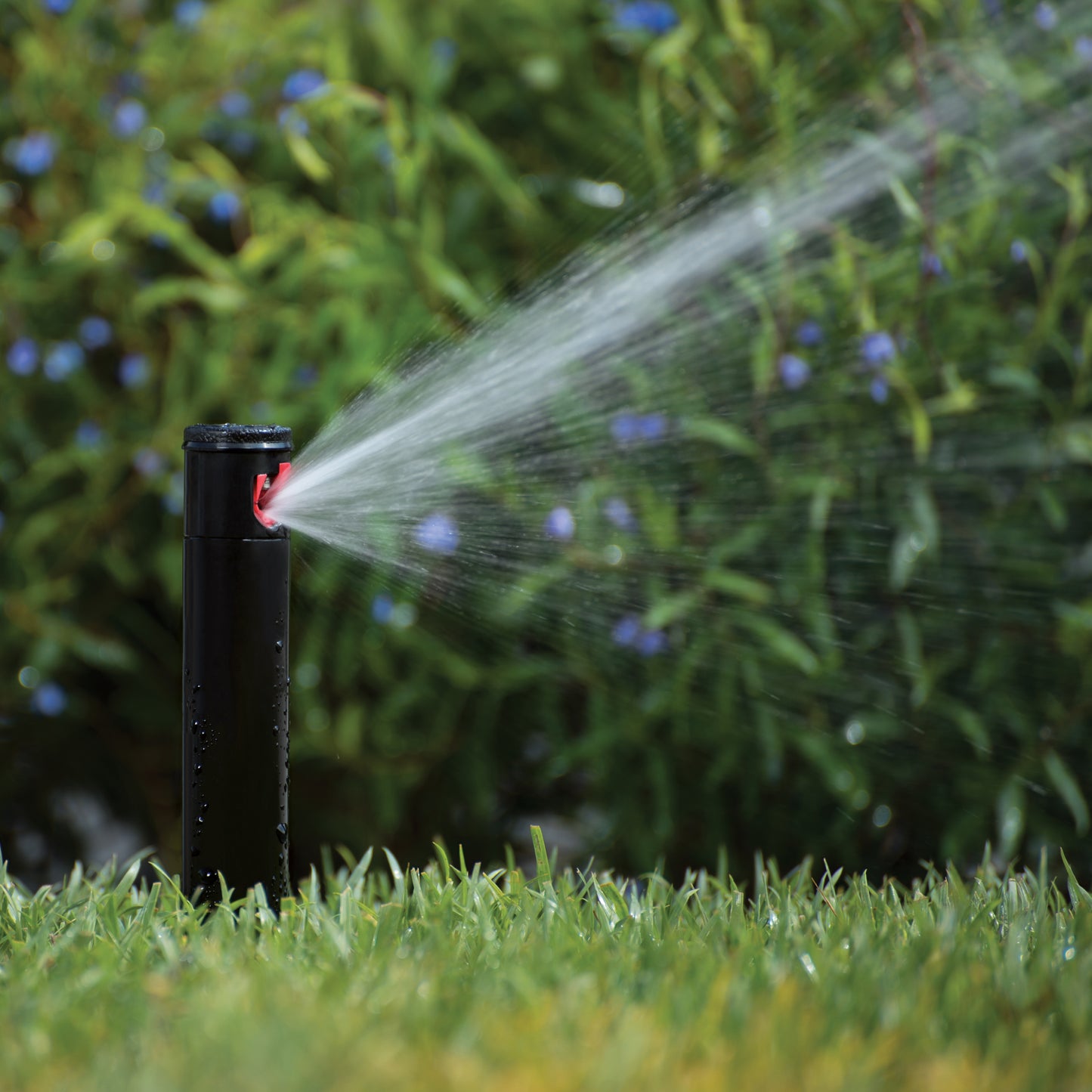 PGJ-04-R - PGJ 4" Pop-up Rotor Sprinkler with 8 Nozzles - Reclaimed ID