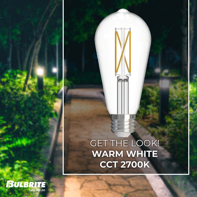 776223 - Dimmable Clear ST18 LED Light Bulb - 7.6 Watt - 2700K - 10 Pack