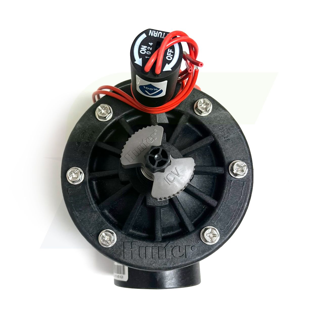 ICV-201G-FS - 2" Globe Valve with Flow Control, Filter Sentry