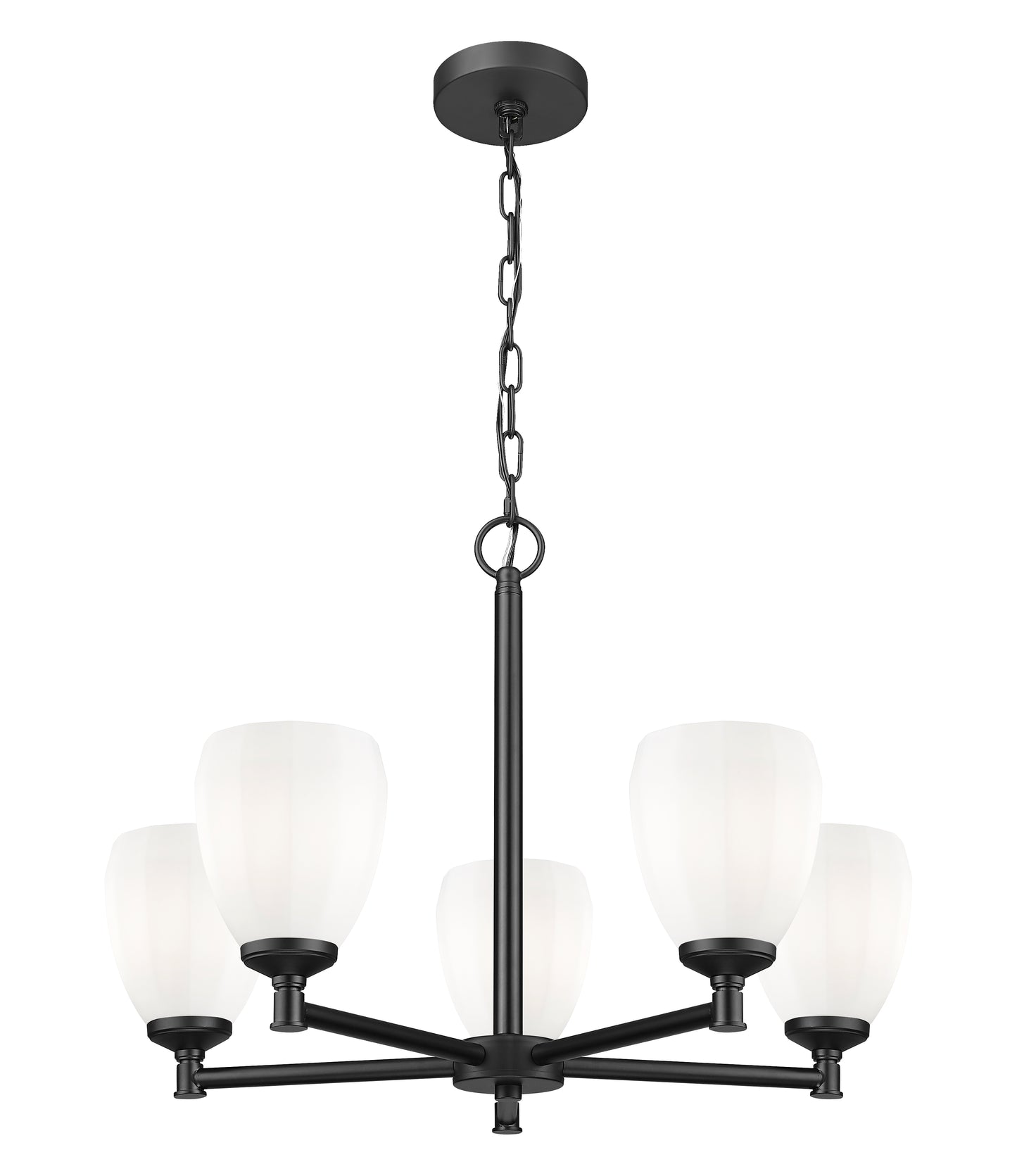 7004-5MB - Oren 5 Light 25" Chandelier - Matte Black