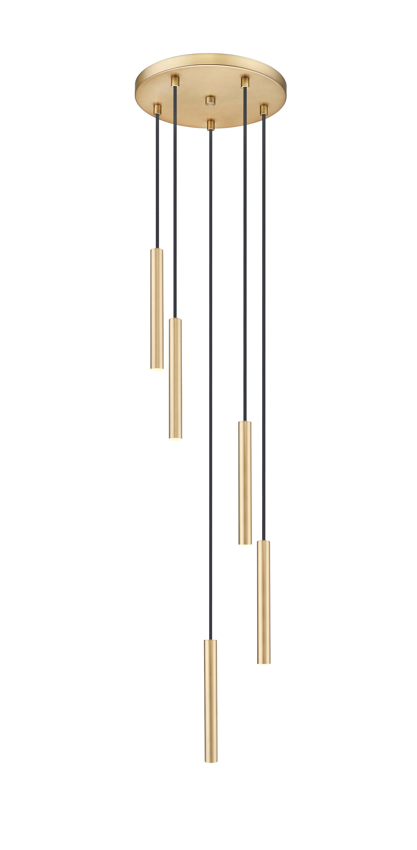 919MP12-5R-MGLD-LED - Forest 5 Light 12" Chandelier - Modern Gold