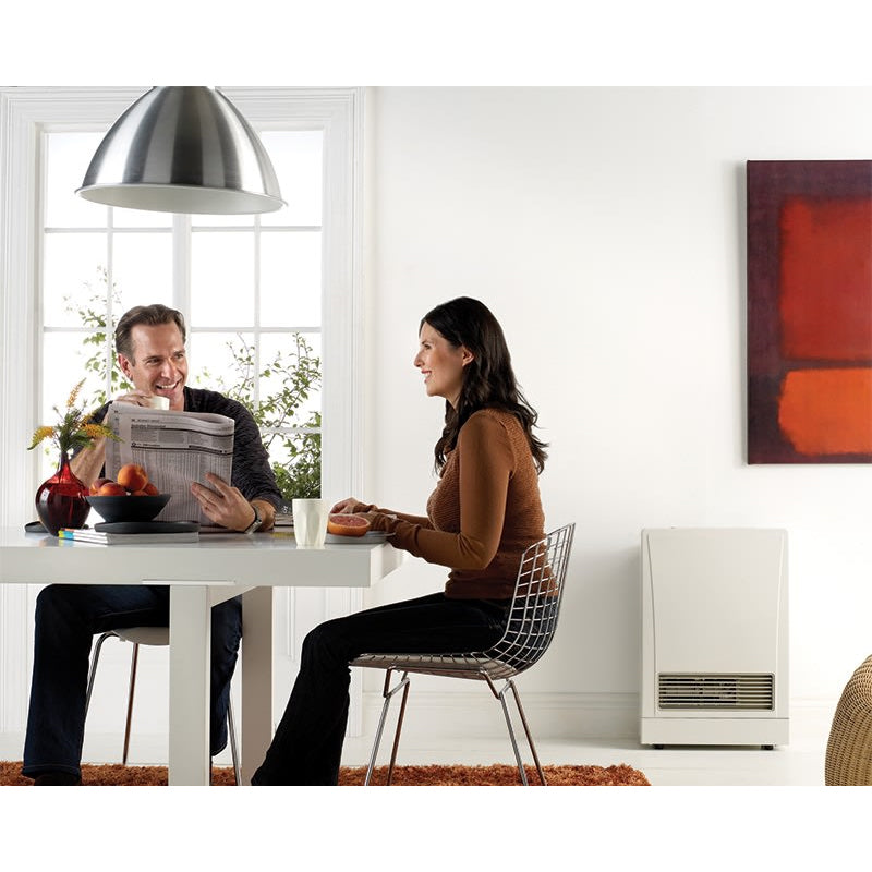 EX38DTN - EnergySaver Direct Vent Wall Furnace - NG - 38,500 BTU