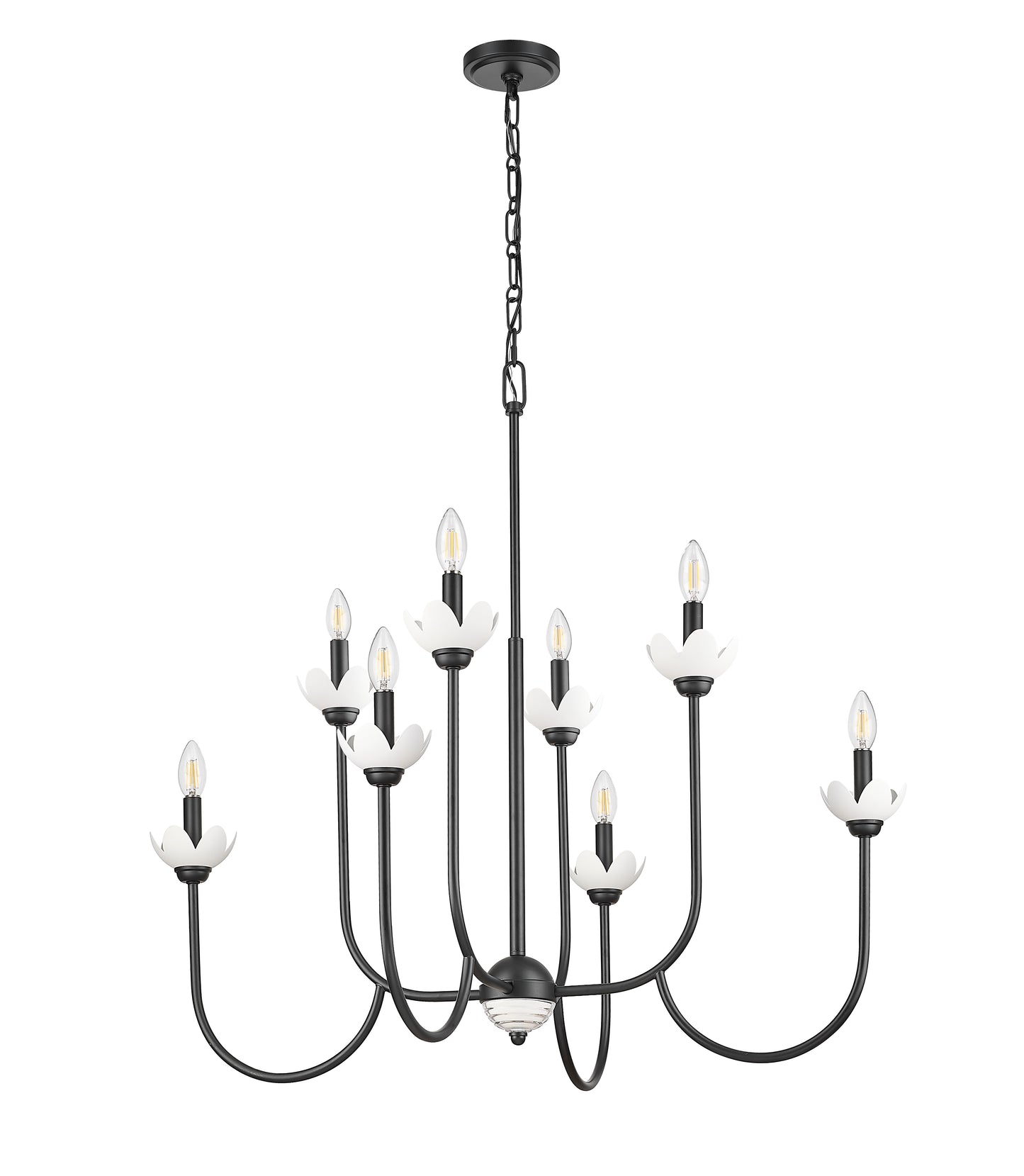 352-8MB - Allistair 8 Light 36" Chandelier - Matte Black