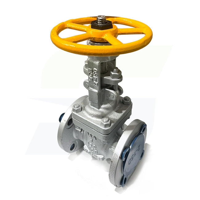2" Cast Carbon Steel Flanged Gate Valve - 150# - Raised Face