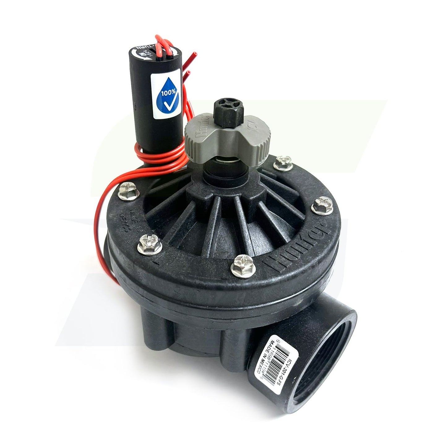 ICV-201G-FS - 2" Globe Valve with Flow Control, Filter Sentry