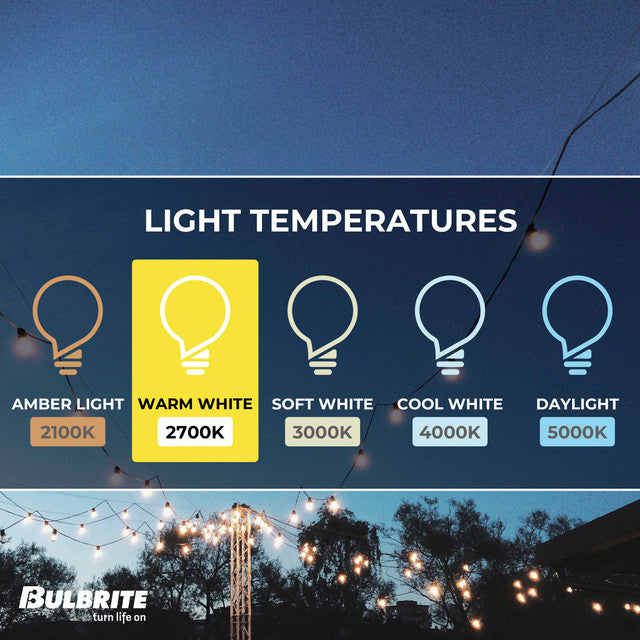 776786 - Filaments Dimmable Clear Glass G16 LED Light Bulb - 1 Watt - 2700K - 10 Pack