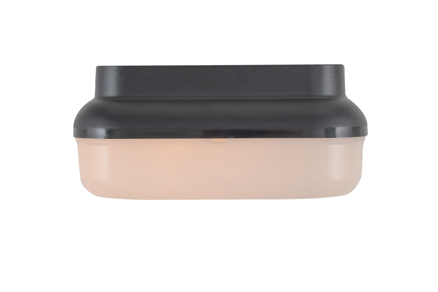 ZA6407-TB - Resilience Lanterns 2 Light 10" Wide Flush Mount - Textured Black