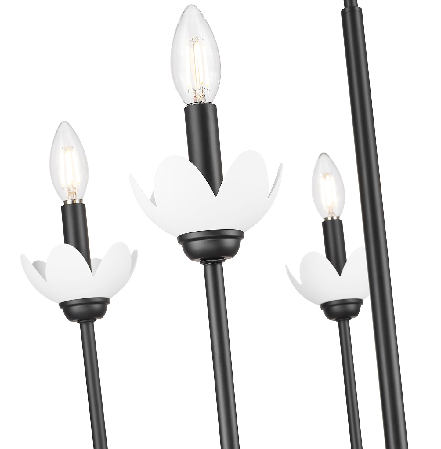 352-5MB - Allistair 5 Light 24" Chandelier - Matte Black
