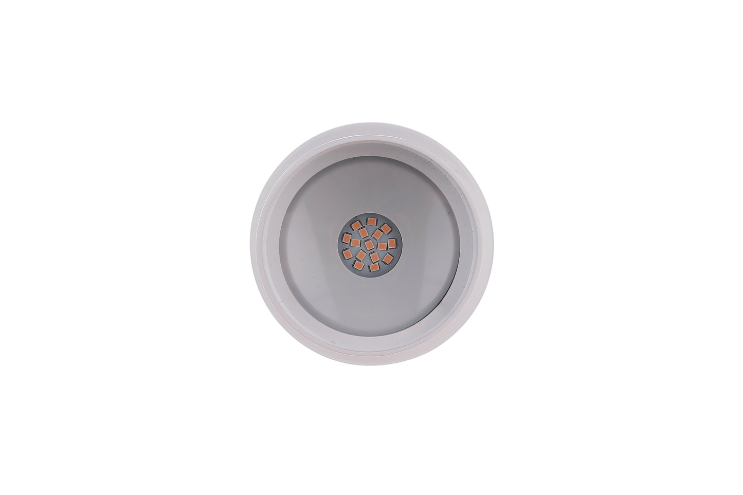 ZA421-W-LED - LED Flood 4.75" High Outdoor Flood - White