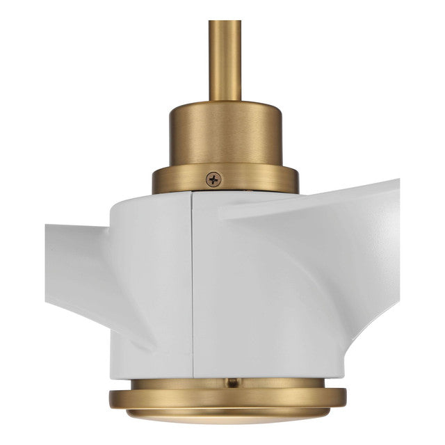 PHB60SB3 - Phoebe 60" 3 Blade Indoor / Outdoor Ceiling Fan with Light Kit - Wi-Fi Remote Control - S