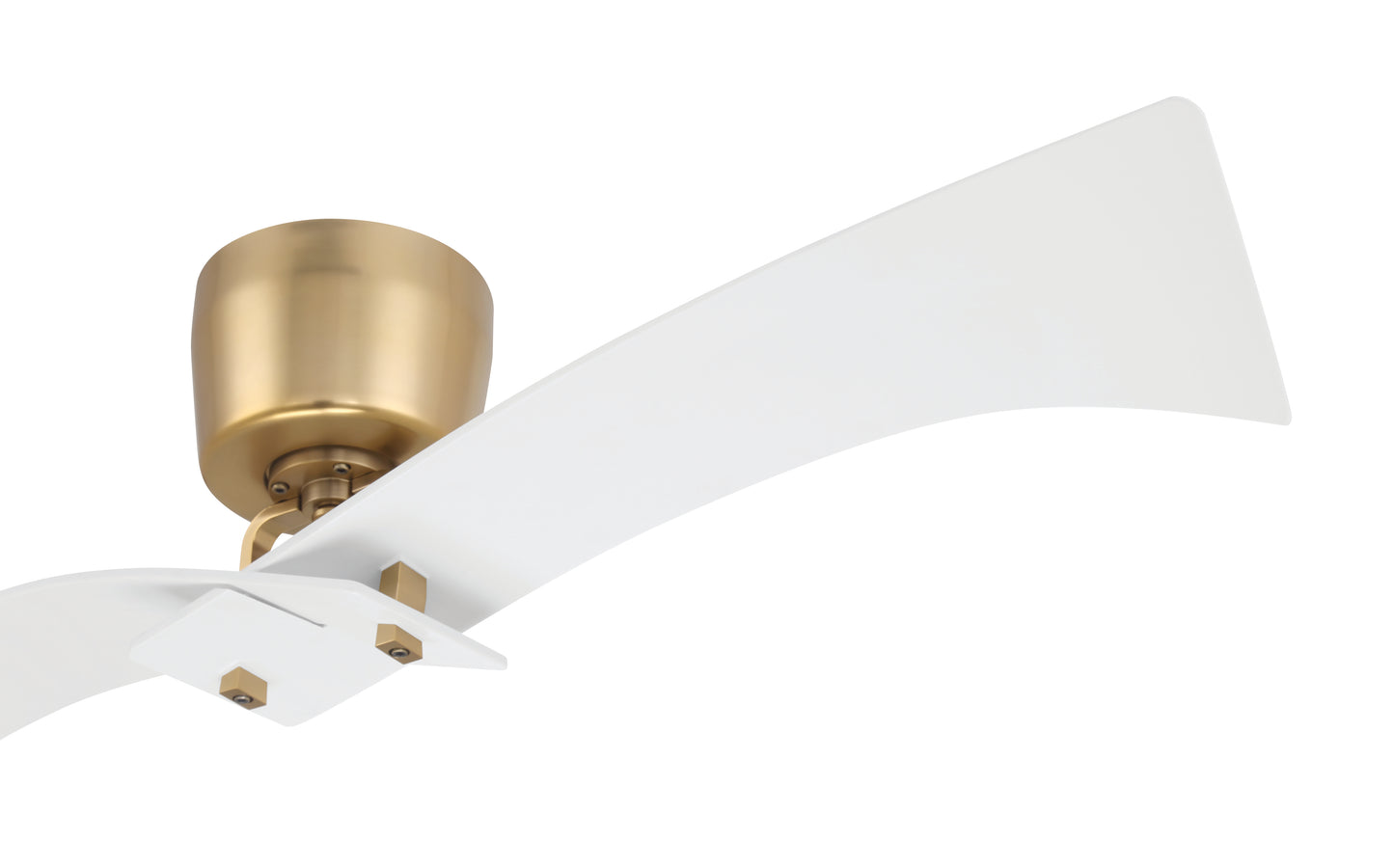 TRN52WSB2 - Tern 52" 2 Blade Ceiling Fan - White / Satin Brass