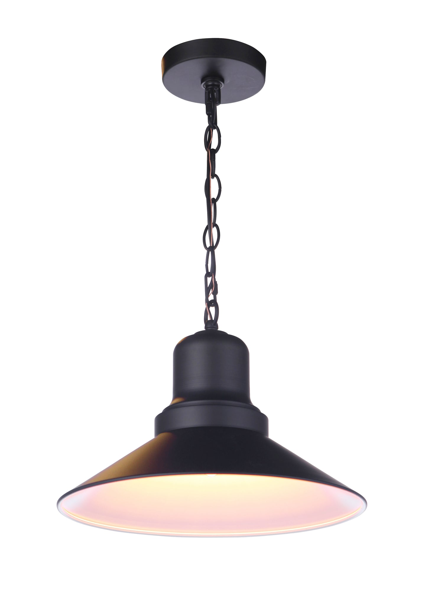 ZA5411-MN - Singleton 1 Light 14" Wide Outdoor Pendant - Midnight