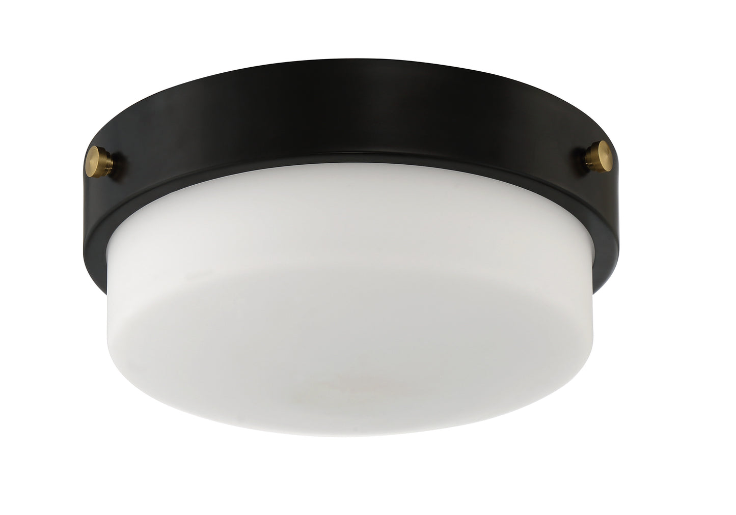 X3212-FB - Oak Street 2 Light 11" Wide Flush Mount - Flat Black