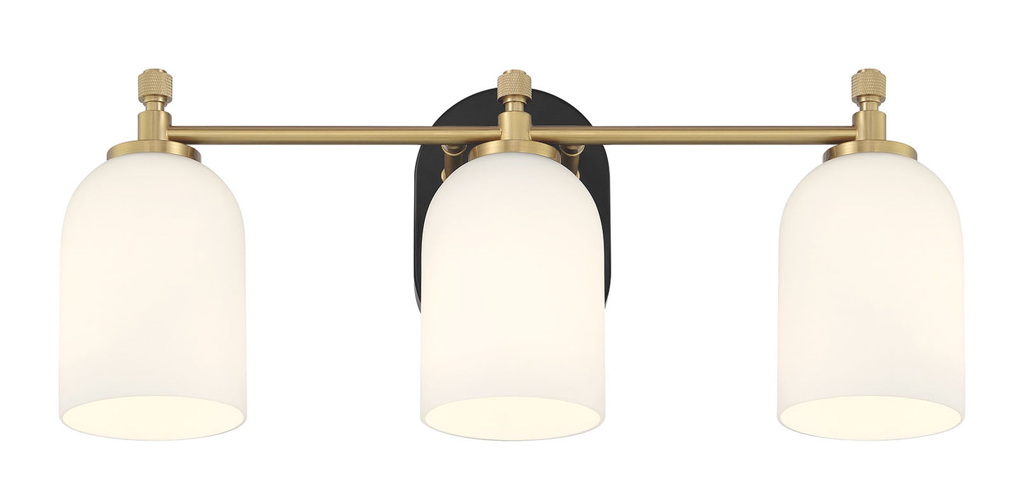 60303-FBSB - Council 3 Light 20" Wide Vanity Light - Flat Black / Satin Brass